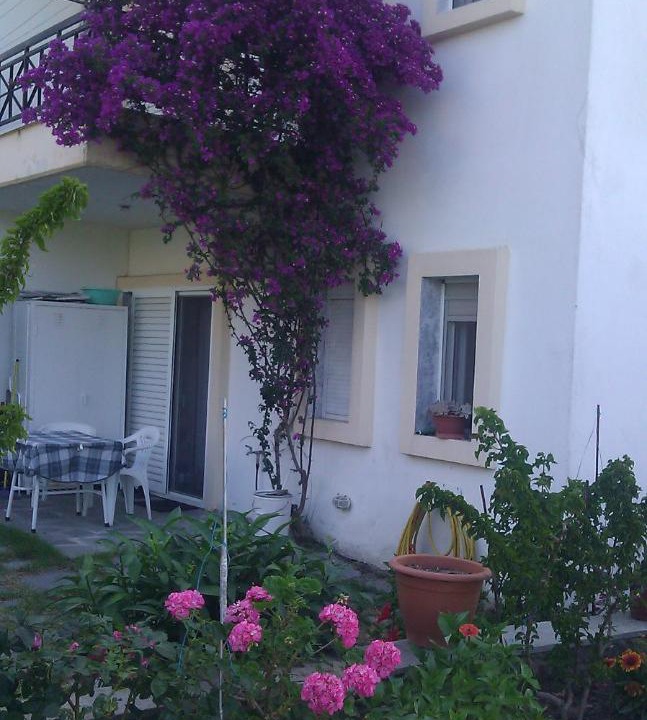 Photo of Others in Kassandra