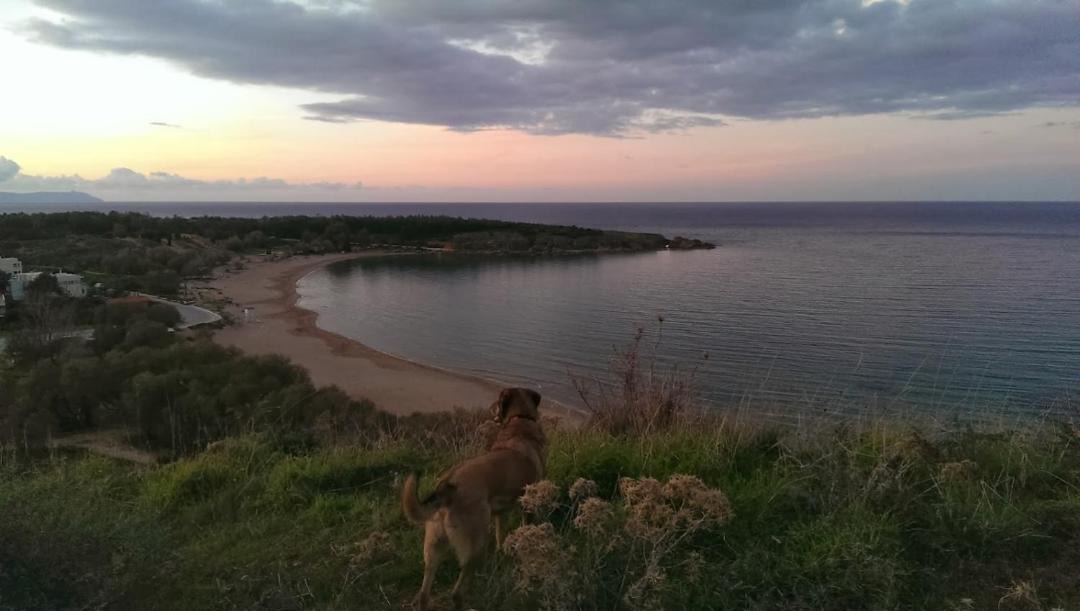 Photo of Others in Daratsos