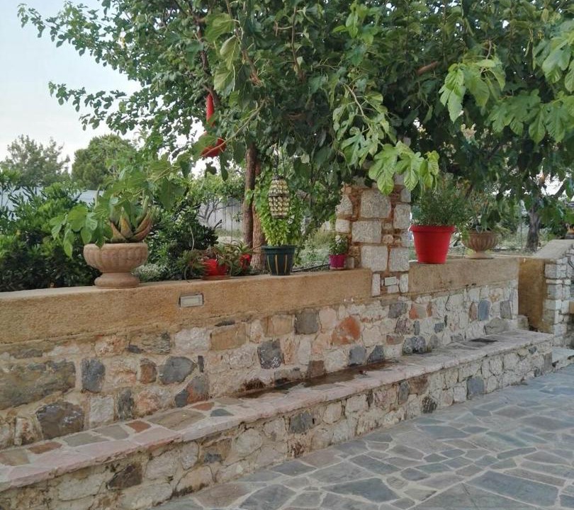 Photo of Others in Faliraki