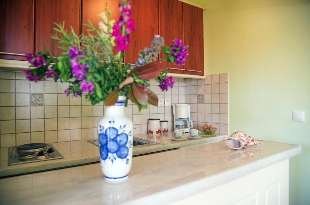 Photo of Kitchen in Travasarianika