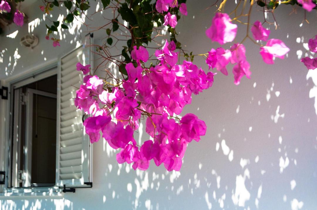 Photo of Patio Balcony in Naxos
