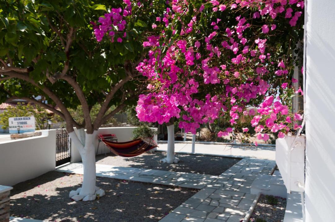 Photo of Patio Balcony in Naxos