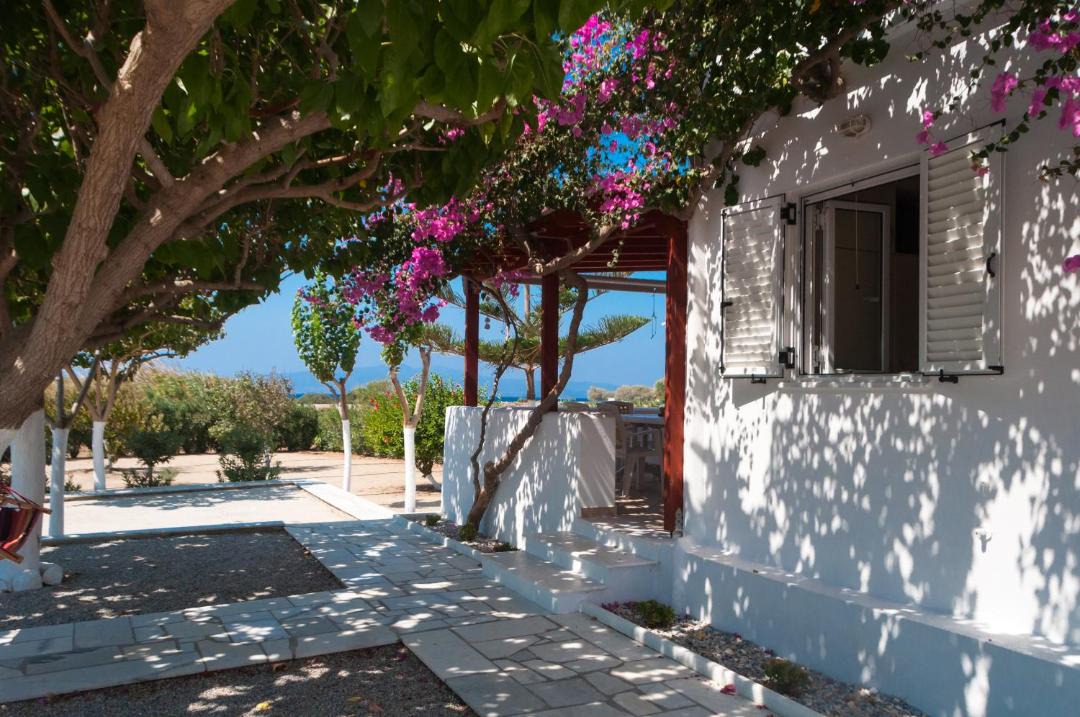 Photo of Others in Naxos