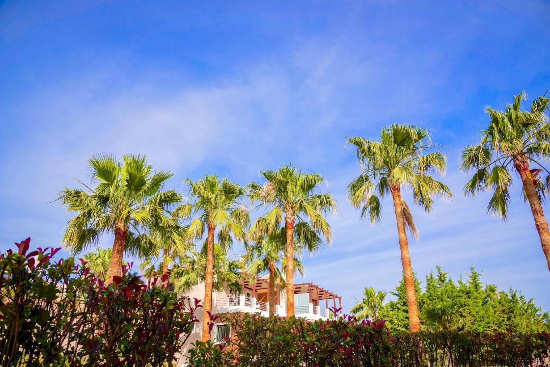 Photo of Outdoor in Platanias