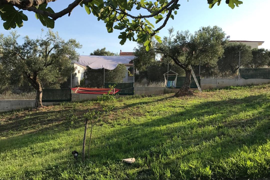 Photo of Others in Nea Fokaia