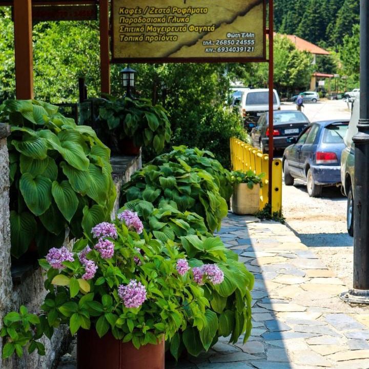 Photo of Others in Athamanio