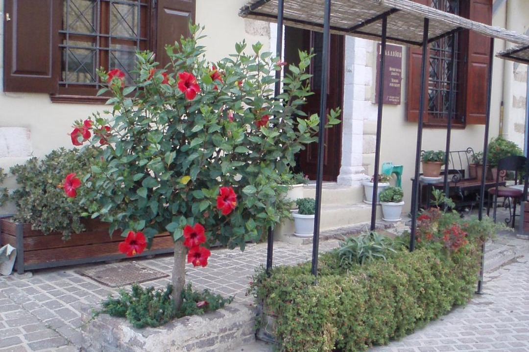 Photo of Buildings in Old Town