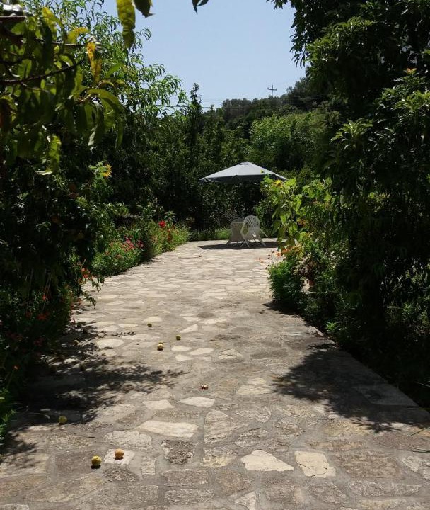 Photo of Others in Kokkari