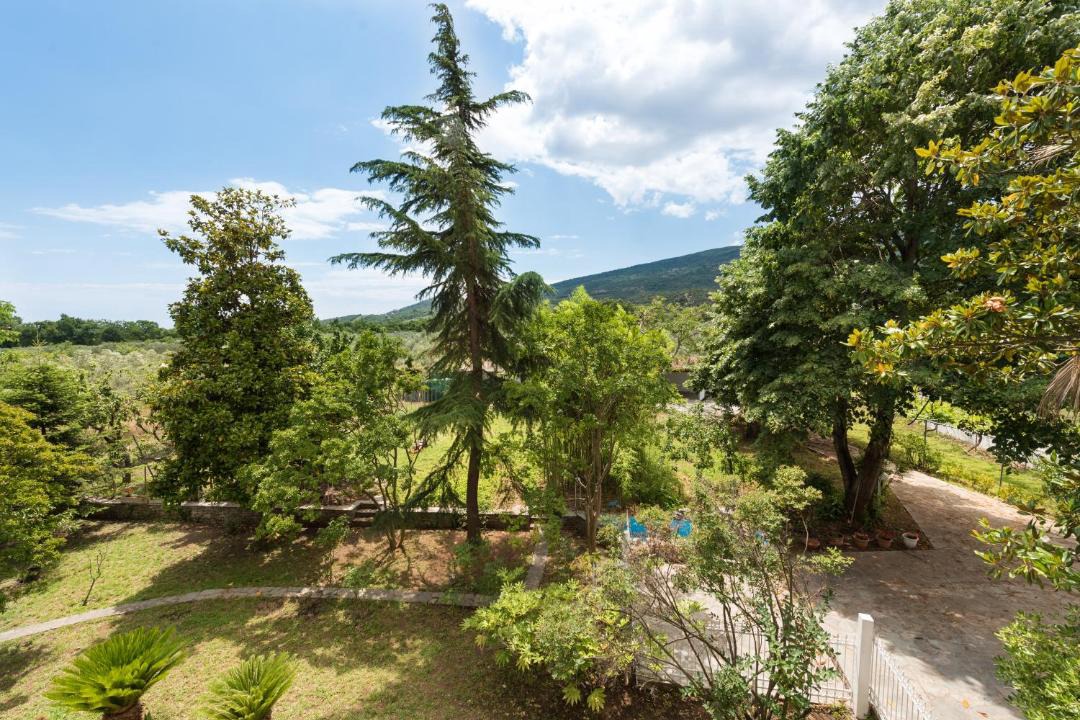 Photo of Others in Skotina