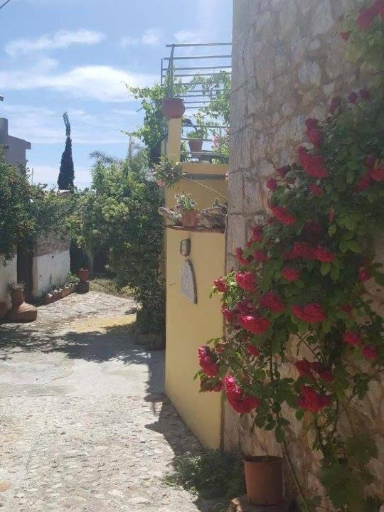 Photo of Others in Argyropouli