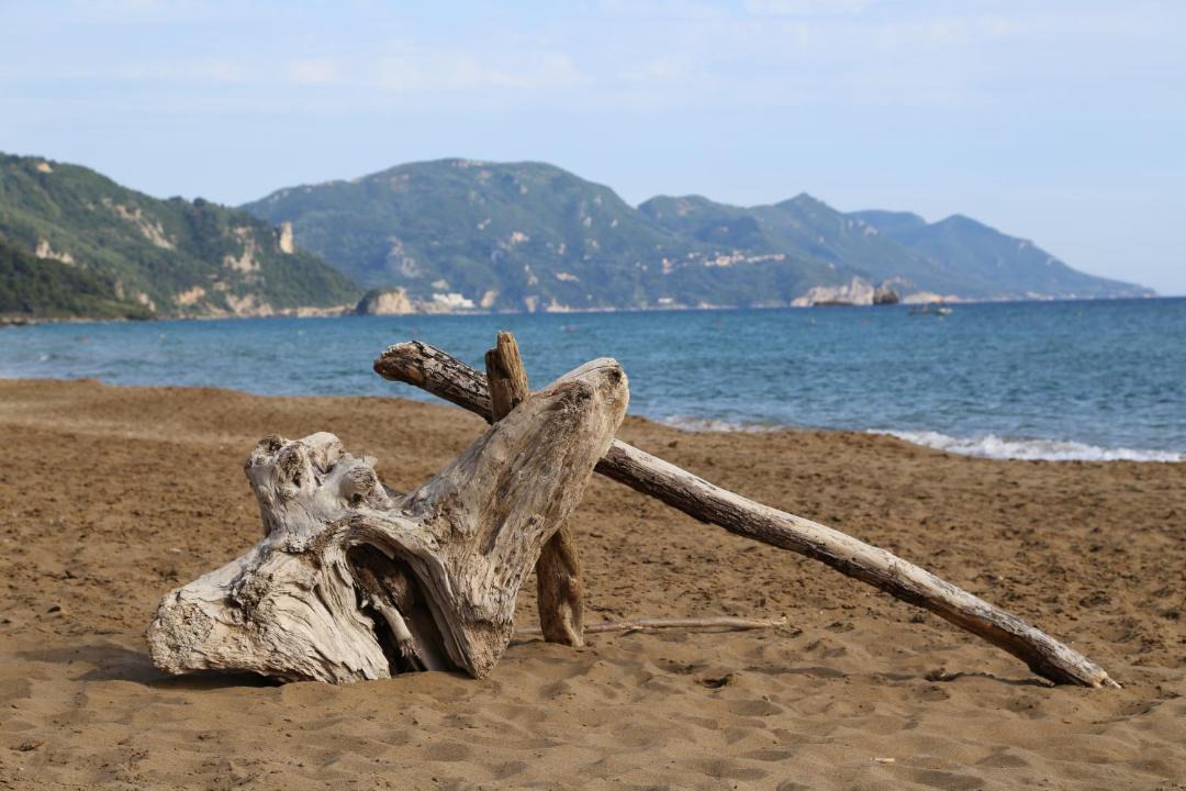 Photo of Outdoor in Parelia