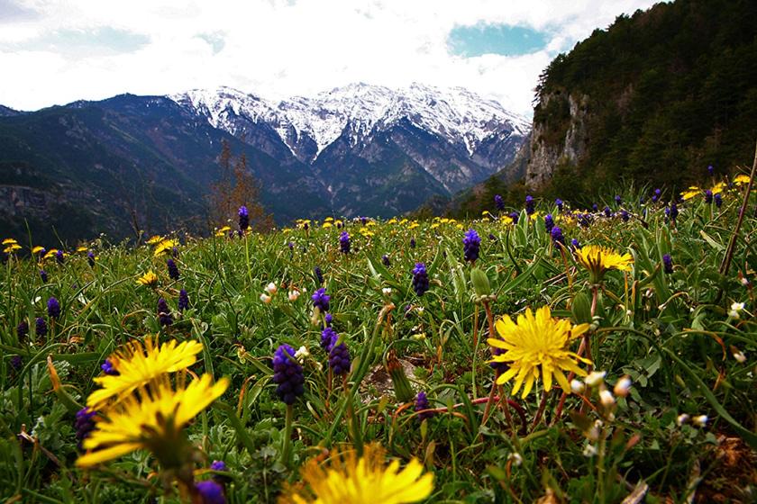 Photo of Outdoor in Limin Litochorou