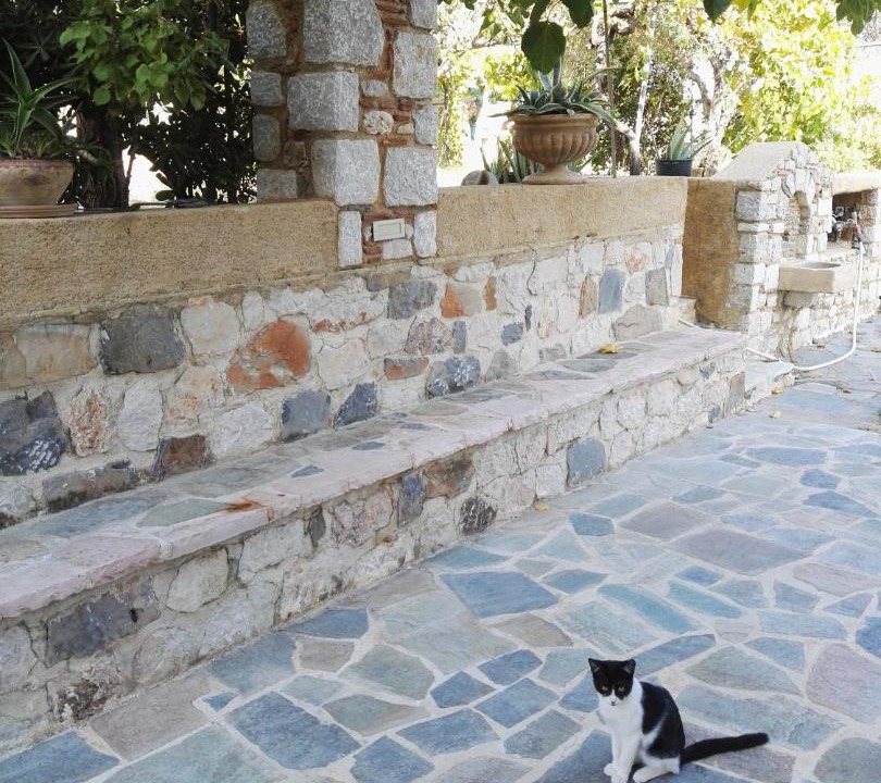 Photo of Others in Faliraki