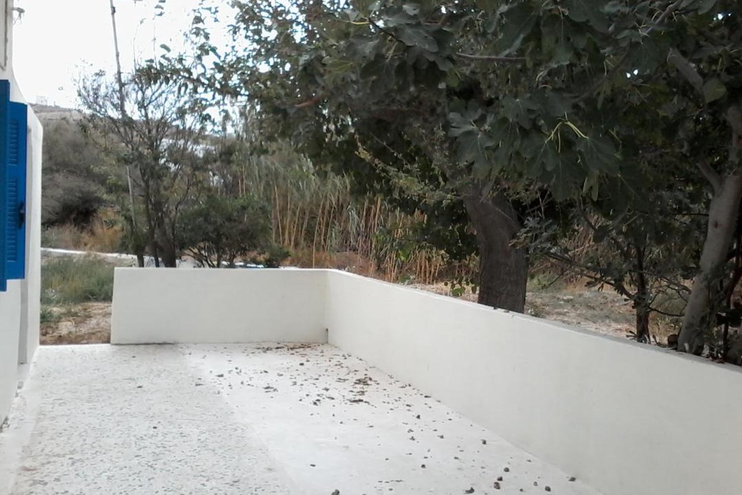 Photo of Others in Gavrio