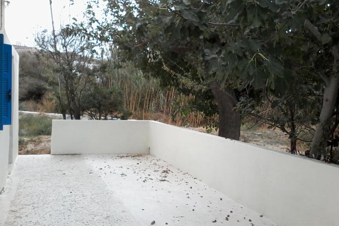 Photo of Others in Gavrio