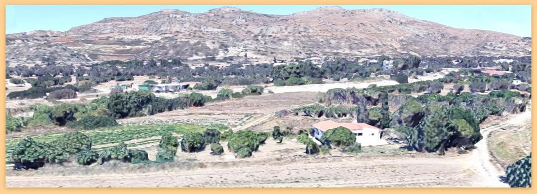 Photo of Others in Afandou