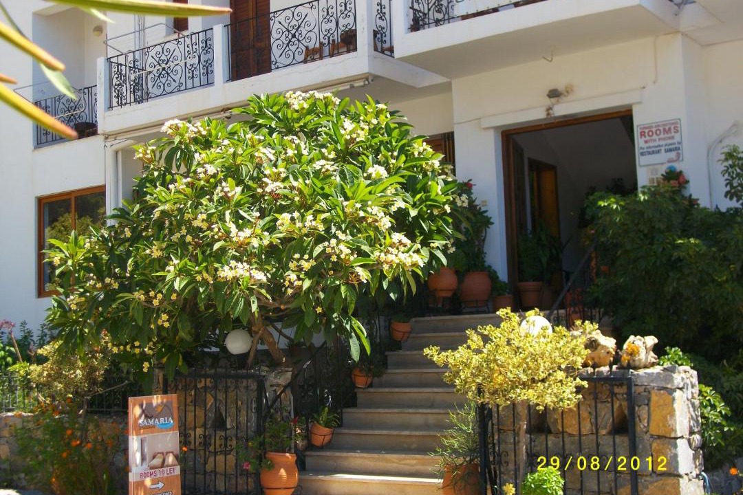 Photo of Others in Agia Roumeli