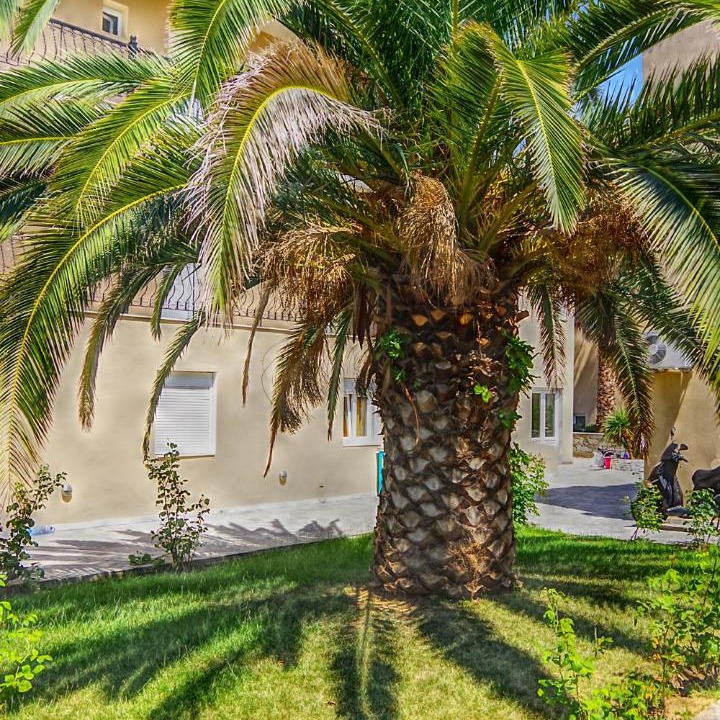 Photo of Others in Skala Rachoniou