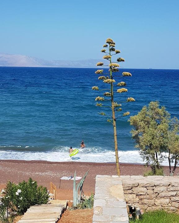 Photo of Others in Kithira