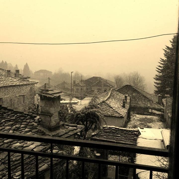 Photo of Others in Tsepelovo