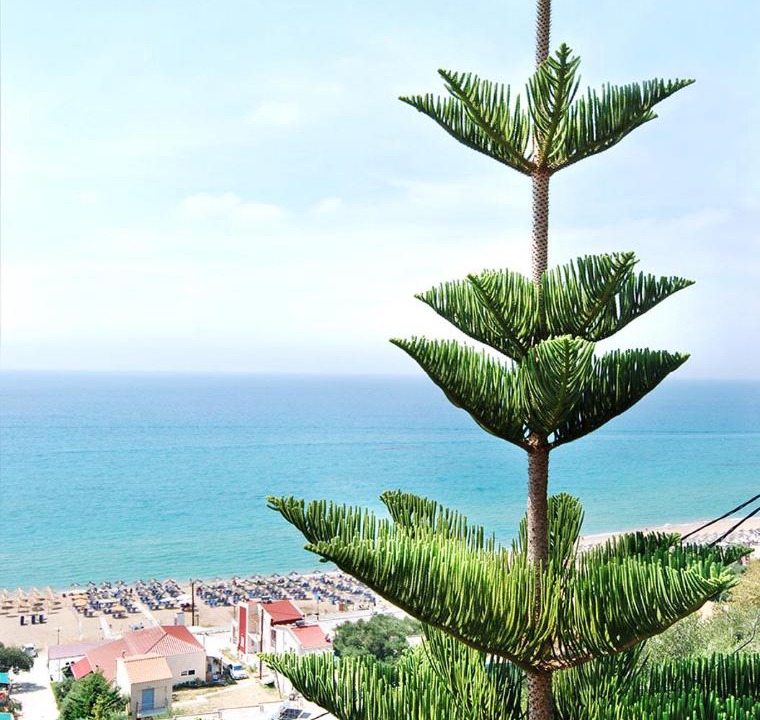 Photo of Others in Preveza