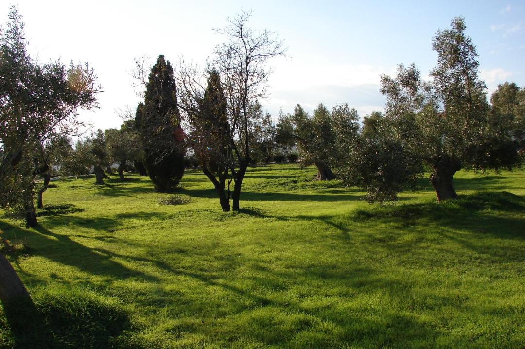 Photo of Others in Limni Vouliagmenis