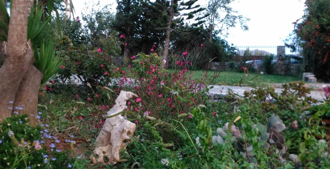 Photo of Others in Lefkogeia