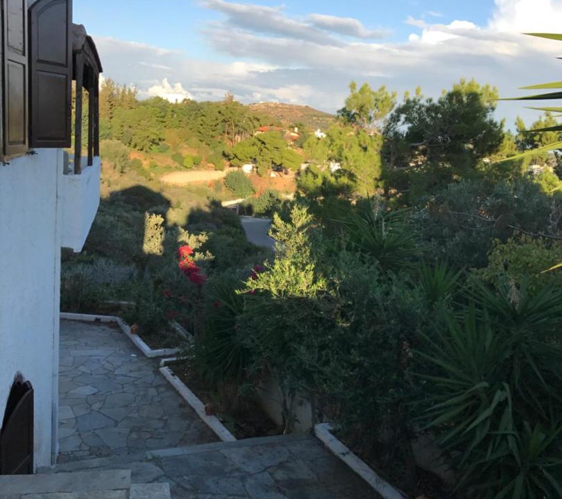 Photo of Others in Agia Pelagia