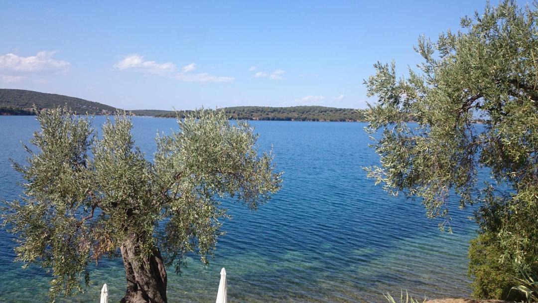 Photo of Others in Milina