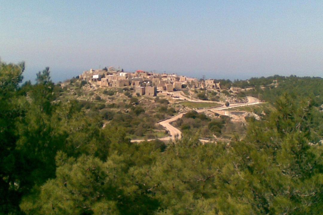 Photo of Others in Avgonima