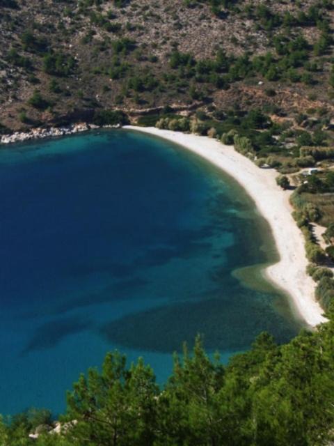 Photo of Others in Avgonima