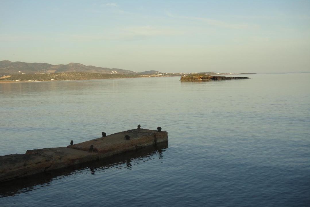 Photo of Others in Antiparos