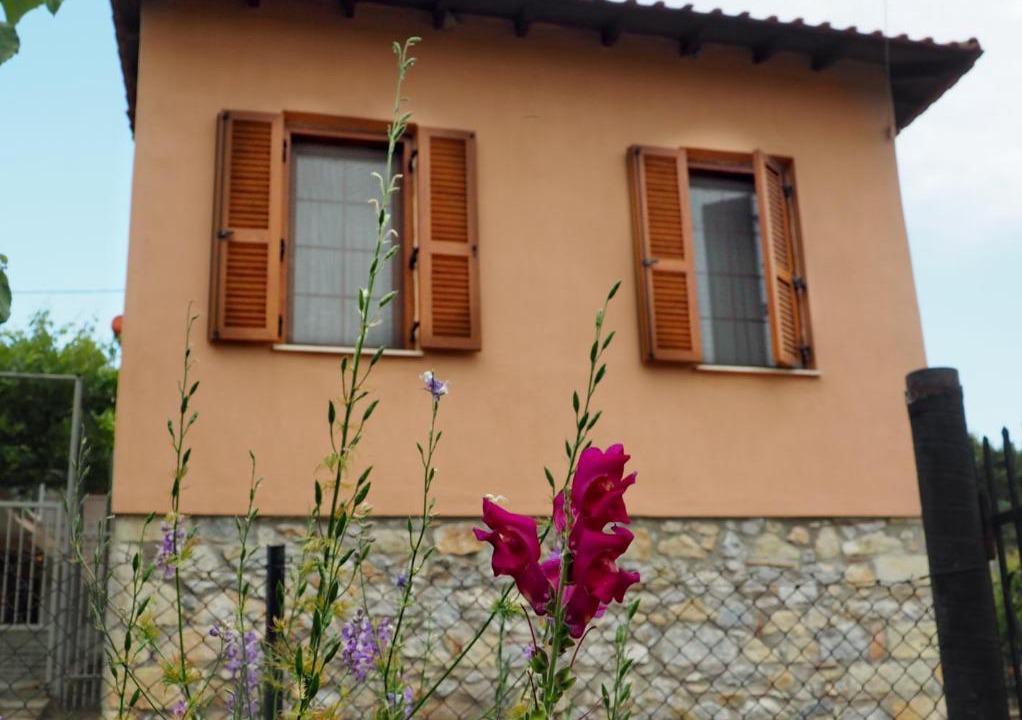 Photo of Others in Paliouri