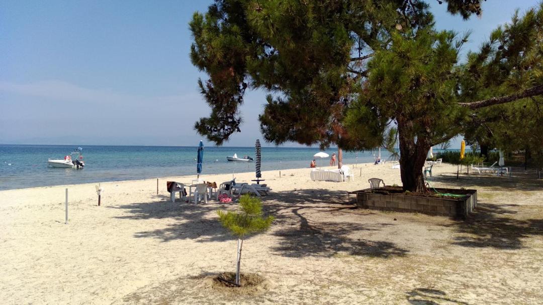 Photo of Outdoor in Megalos Prinos