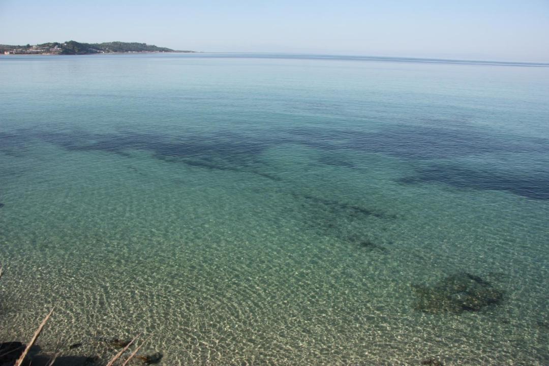 Photo of Others in Skala Fourkas