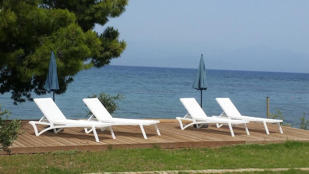 Photo of Outdoor in Aipeia