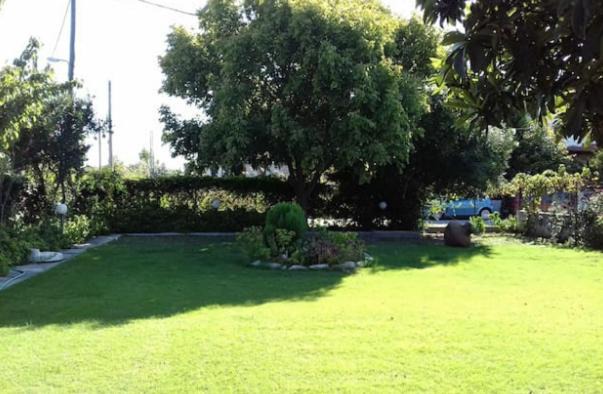 Photo of Outdoor in Artemida