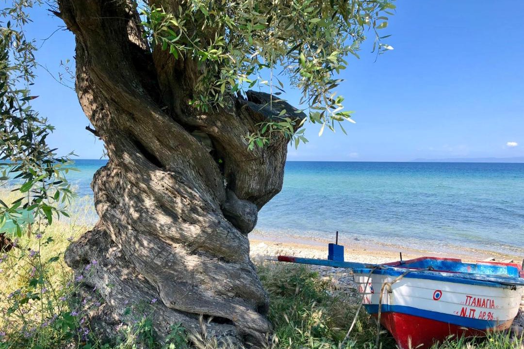 Photo of Outdoor in Megalos Prinos