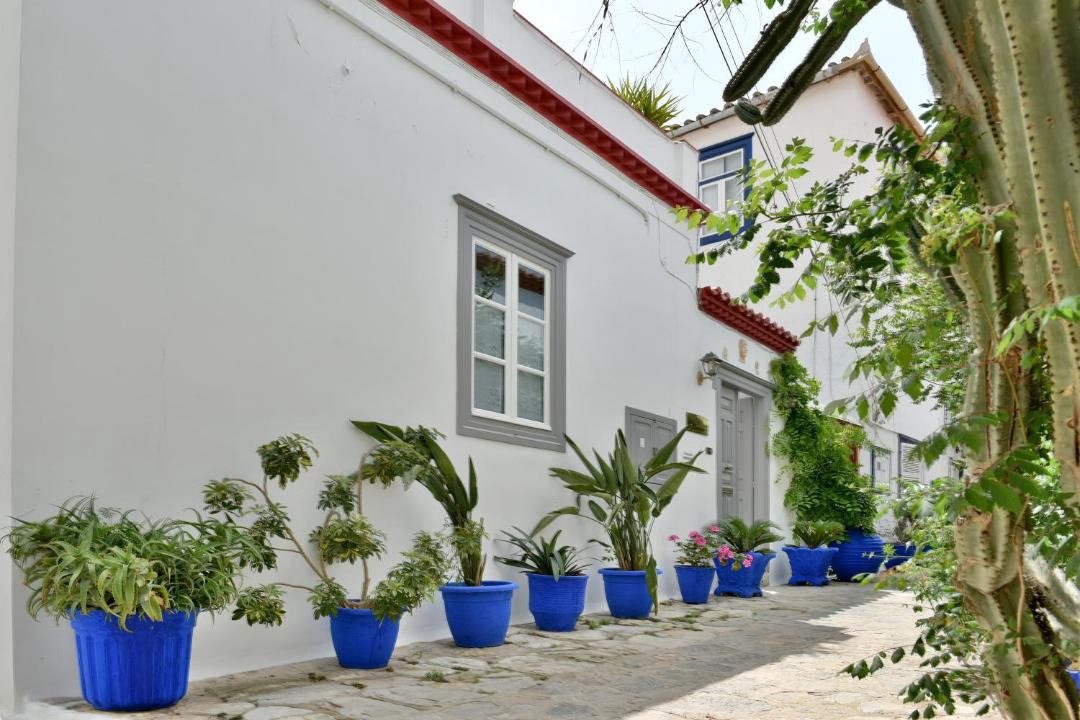 Photo of Others in idhra