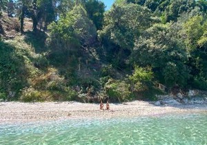 Thalia Estate