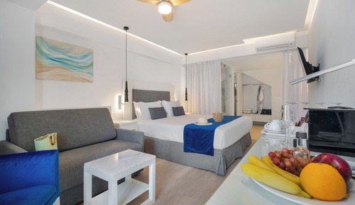 Lower Ground Level Suite with Plunge Pool