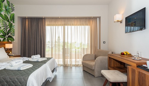 Superior Double or Twin Room
