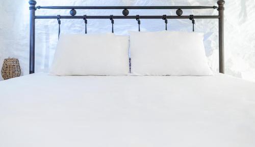 Deluxe One-Bedroom Apartment