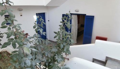 Budget One-Bedroom Apartment
