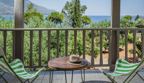 Vacation Home