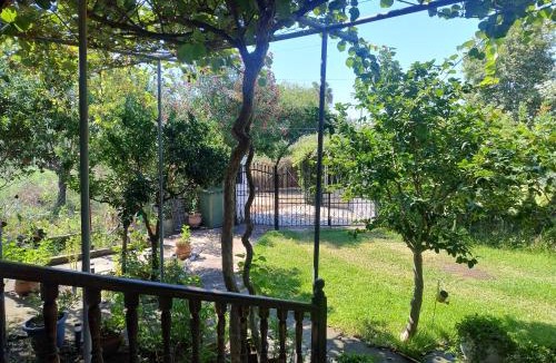Toroni Apartment | Μικρός Παράδεισος - Little Paradise