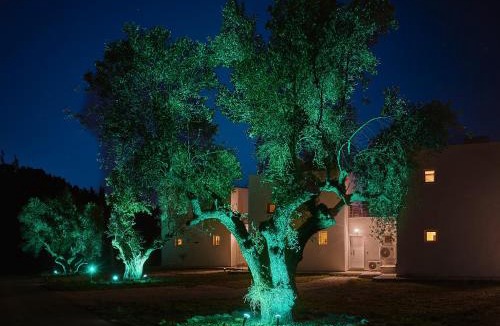 Kriopigi Villa | Luxury Villas with Private Pool & Garden in Halkidiki