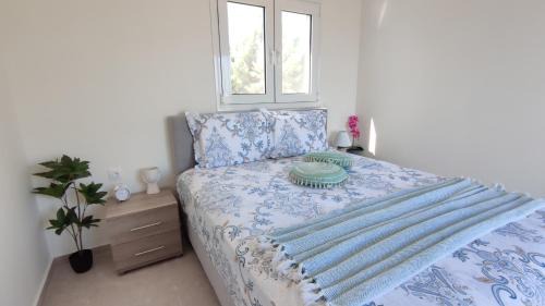 Haraki Villa | Villa with 2 bedrooms - 2 bathrooms - Private pool - WiFi 350 Mbps