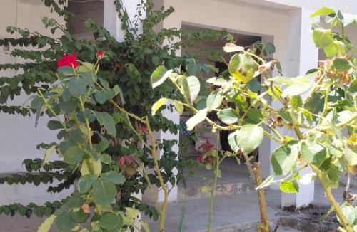 Aleimmatades Apartment | Antistoni Vacation House Scenic Nature View, Private Balcony & Yard