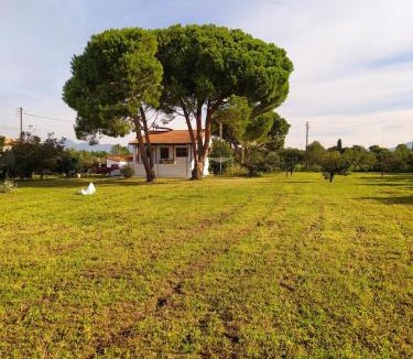 Karpenisi House | Villa Penelia next to golf courses